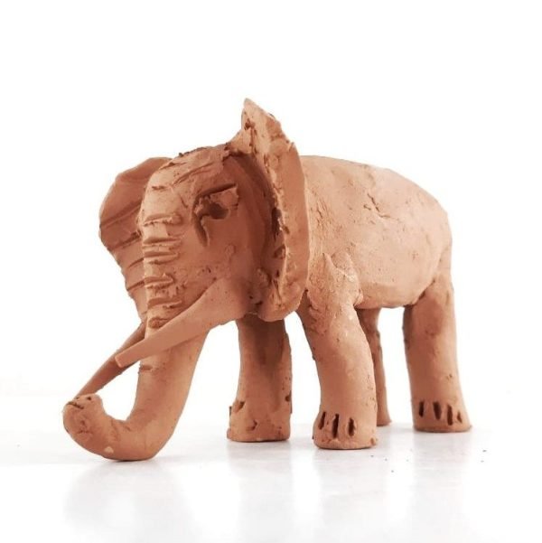 Modelling elephant