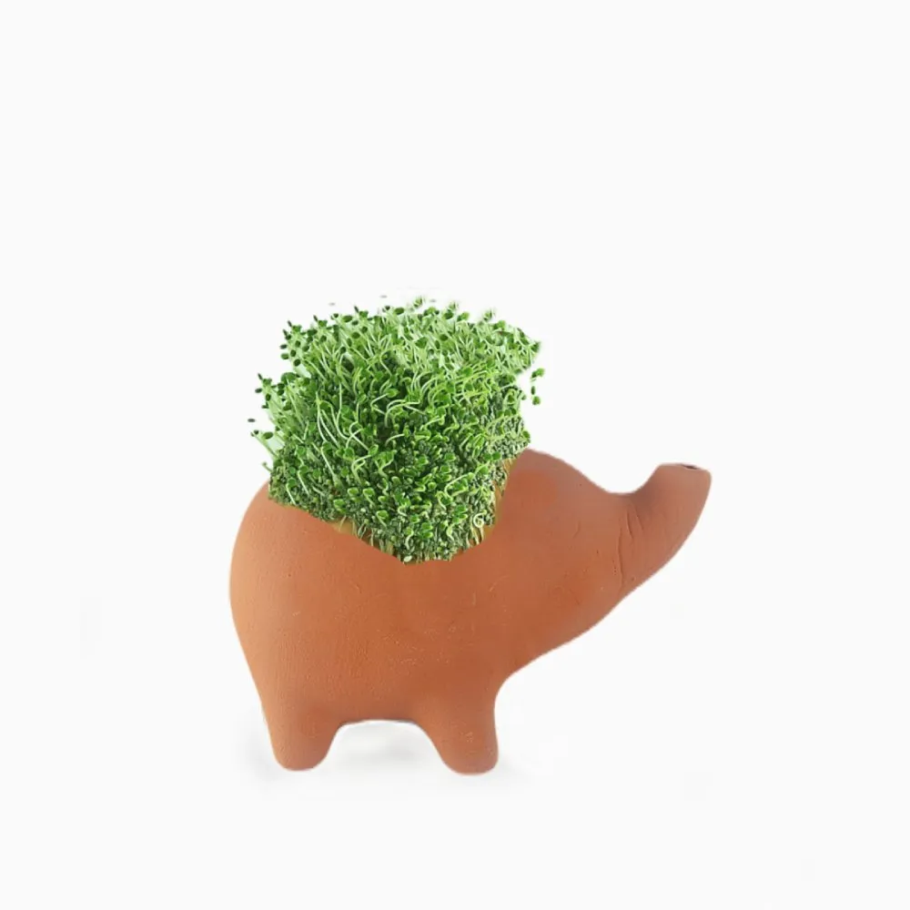 Organic Planter Elephant Regular