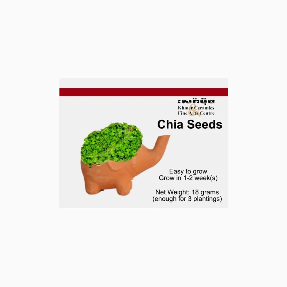 Seeds Refill Chia 1 pack