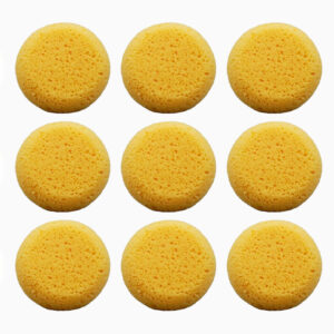 Art and craft sponge